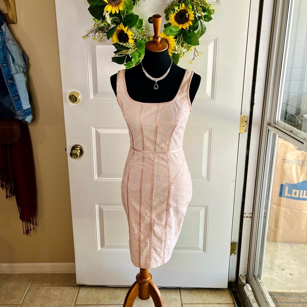 Pink Lace Bodycon Dress